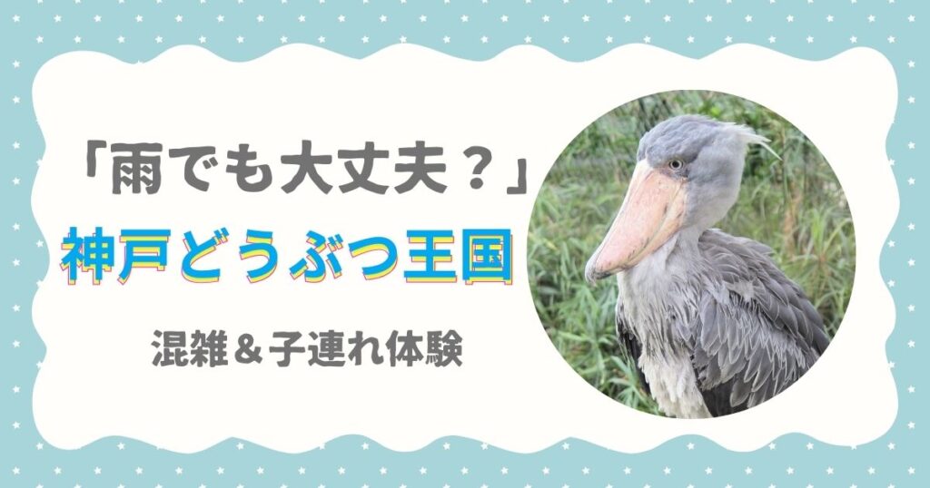 雨でも大丈夫？　神戸どうぶつ王国　混雑＆子連れ体験