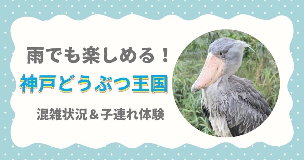 雨でも楽しめる！神戸どうぶつ王国　混雑状況＆子連れ体験