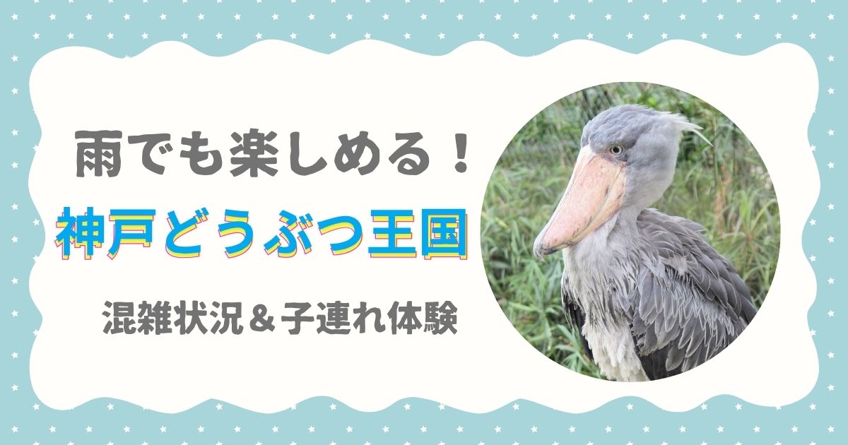 雨でも楽しめる！神戸どうぶつ王国　混雑状況＆子連れ体験