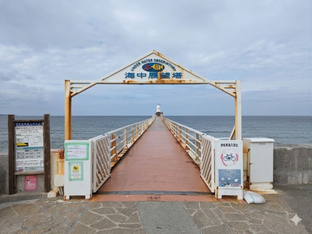 ブセナ海中公園 海中展望塔 桟橋 入口