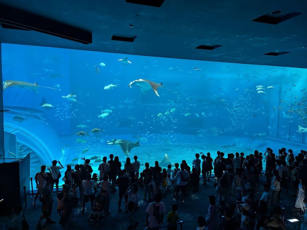 沖縄美ら海水族館 大水槽 混雑 人混み