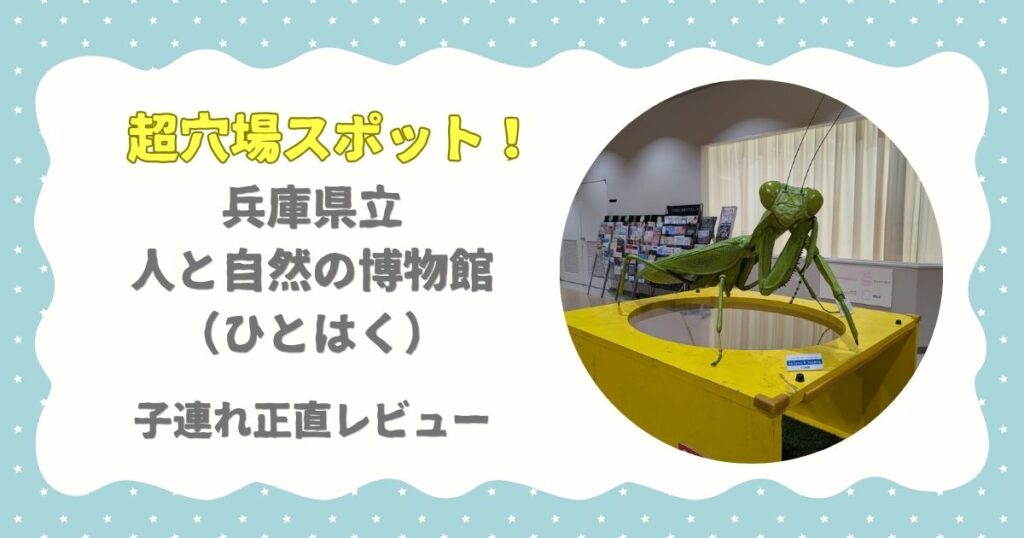 超穴場スポット！兵庫県立人と自然の博物館 （ひとはく） 子連れ正直レビュー